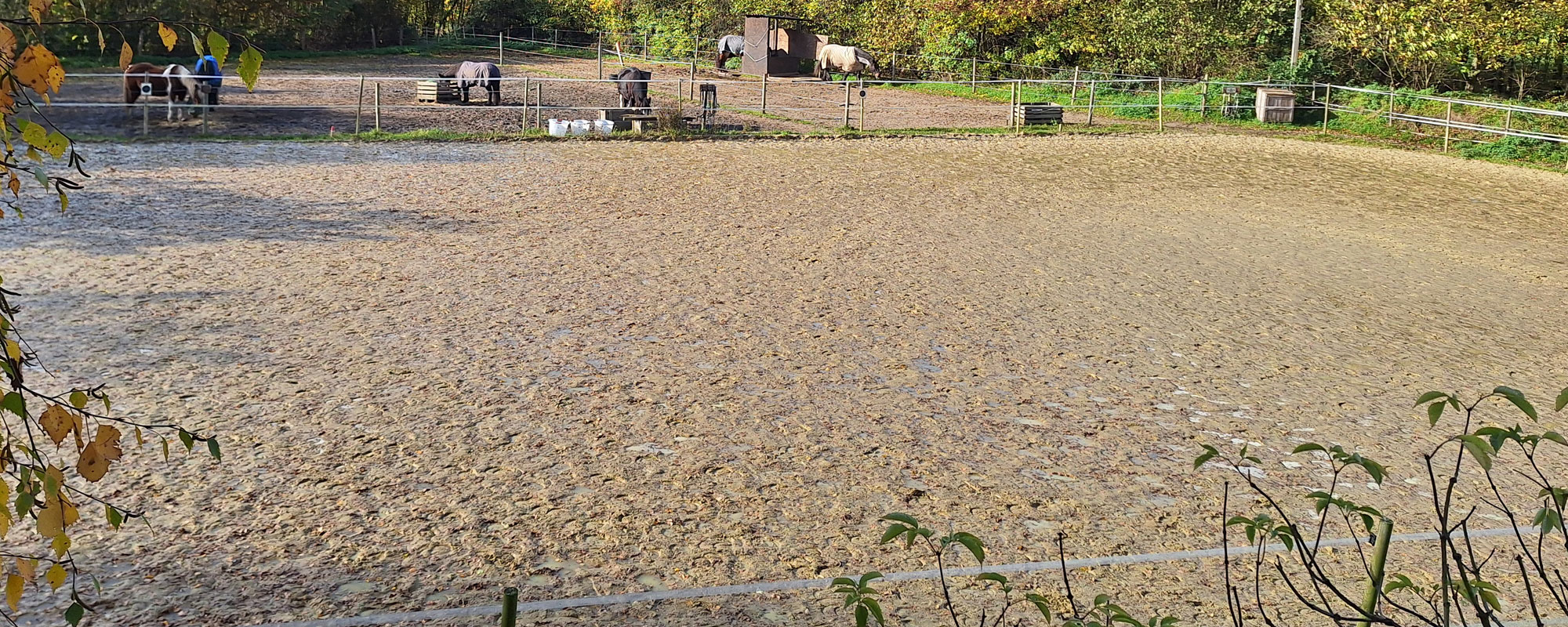 Grosser Reitplatz Reitstall Am Pollen